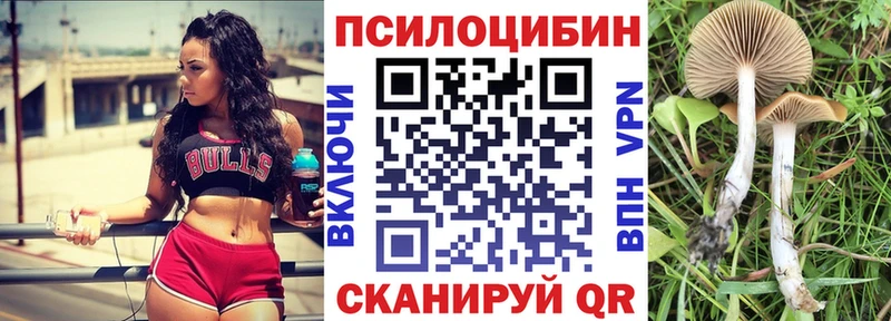 Галлюциногенные грибы Magic Shrooms Пестово