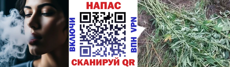 МАРИХУАНА MAZAR Пестово